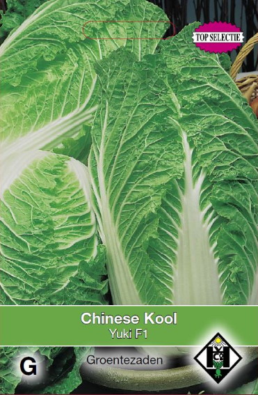 Chinese kool Yuki F1 (Brassica) 60 zaden HE